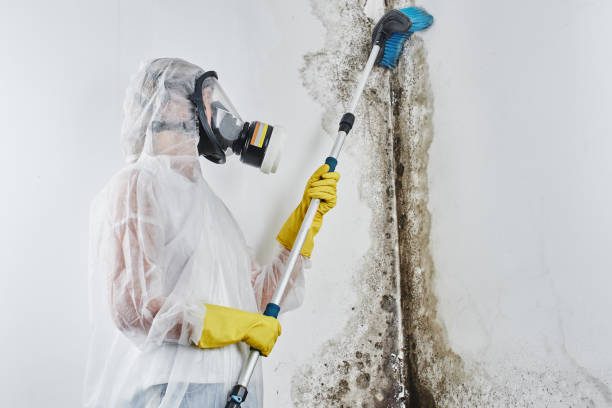 Water Damage Restoration in Mojave, CA