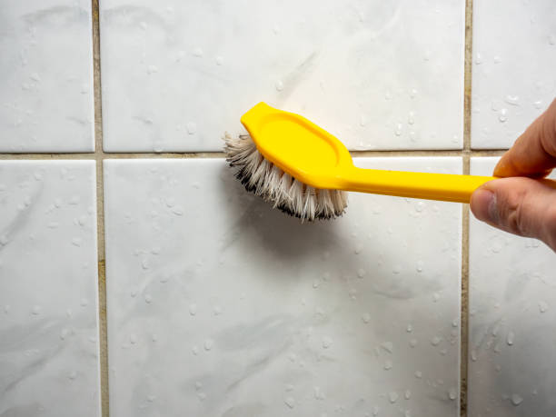 Best Toxic Mold Removal  in Mojave, CA