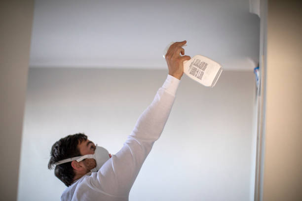 Best Professional Mold Removal  in Mojave, CA