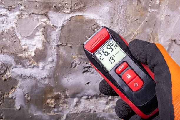 Best Office Mold Removal Services  in Mojave, CA