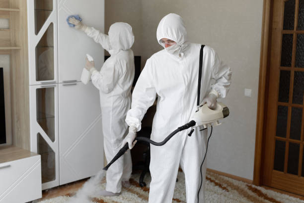 Best Crawl Space Mold Removal  in Mojave, CA