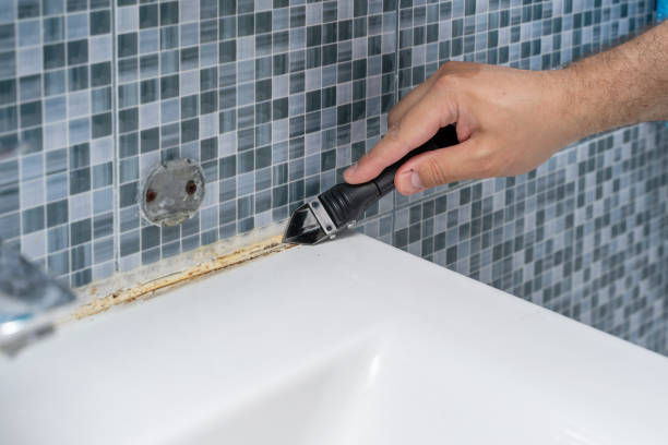 Best Mold Testing  in Mojave, CA